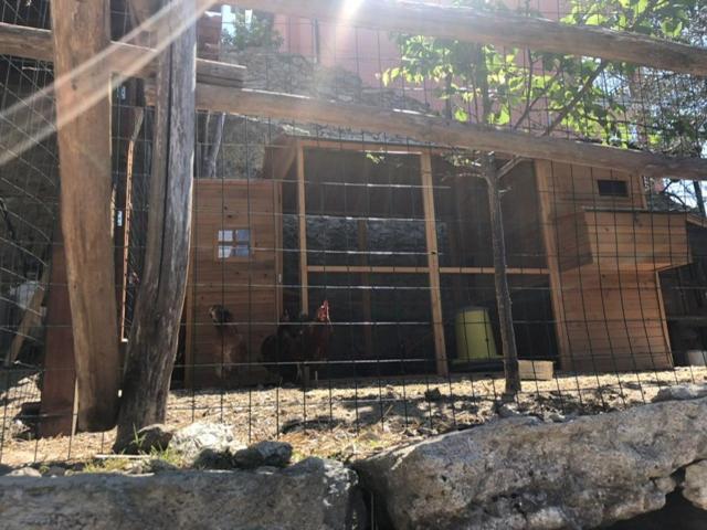 Appartamento Ulivo Finale Ligure Εξωτερικό φωτογραφία