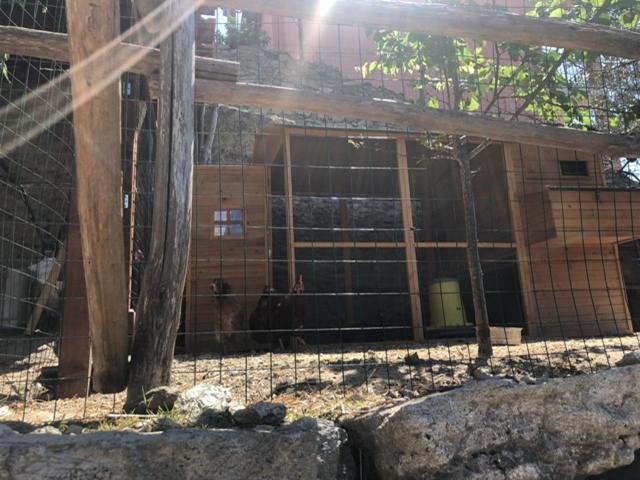 Appartamento Ulivo Finale Ligure Εξωτερικό φωτογραφία